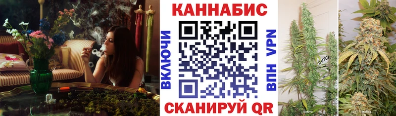 Виды наркотиков купить Каменногорск Бошки Шишки КОКАИН АМФЕТАМИН Меф мяу мяу ГАШ A PVP