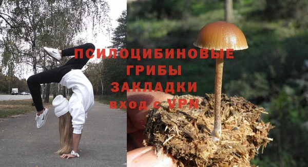 каннабис Алзамай