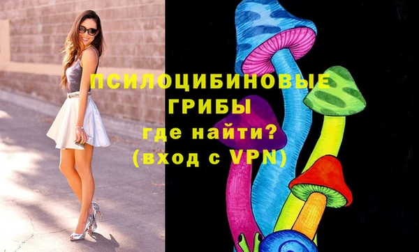 дживик Алексеевка