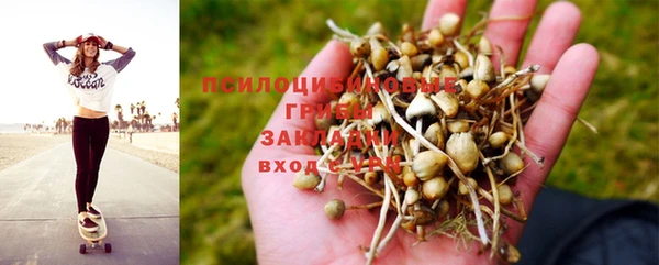 spice Абдулино